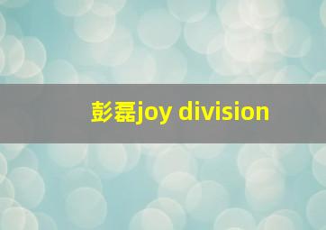 彭磊joy division